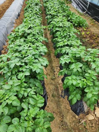  청계유정란 박진균님의 자유주제 · 사진전 작성글 사진