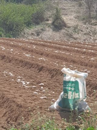 이귀순님의 5월 농사계획 공유하기 · 참여글 작성글 사진