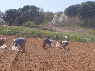 이귀순님의 5월 농사계획 공유하기 · 참여글 작성글 사진
