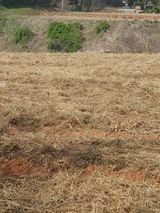 팜모닝 5월 농사계획 공유하기·참여글 게시글 이미지