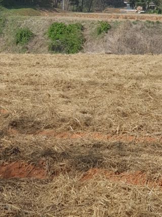 이귀순님의 5월 농사계획 공유하기 · 참여글 작성글 사진