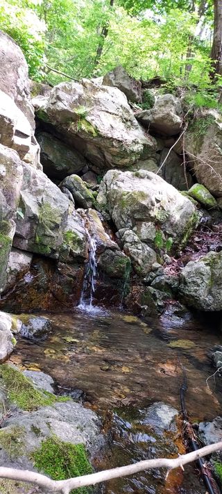 이경옥님의 자유주제 · 자유게시판 작성글 사진