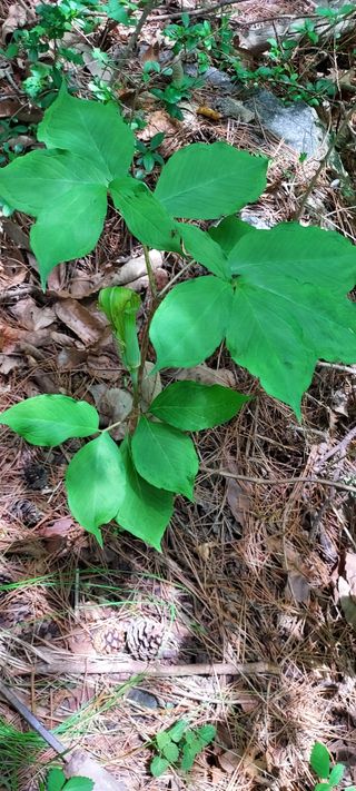 이경옥님의 자유주제 · 자유게시판 작성글 사진