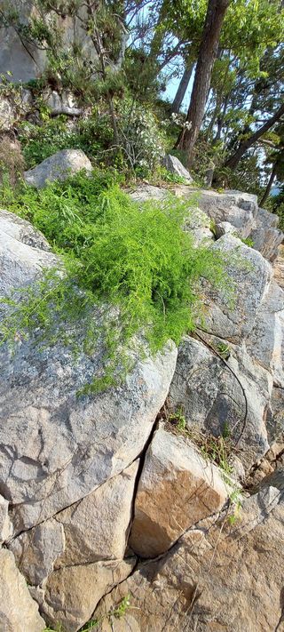 이경옥님의 자유주제 · 자유게시판 작성글 사진