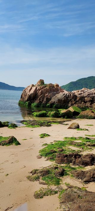 이경옥님의 자유주제 · 자유게시판 작성글 사진