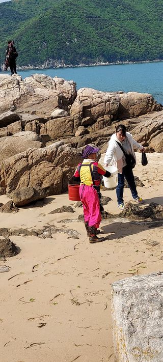 이경옥님의 자유주제 · 자유게시판 작성글 사진