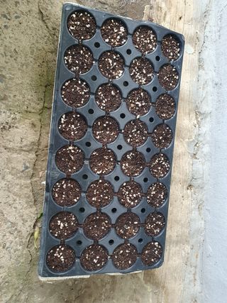 고추8440님의 자유주제 · 자유게시판 작성글 사진