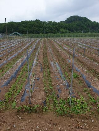 김화순님의 자유주제 · 자유게시판 작성글 사진