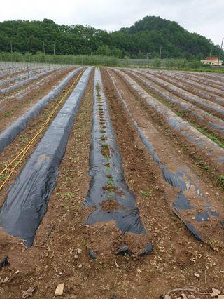 김화순님의 자유주제 · 자유게시판 작성글 사진