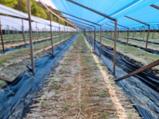 심상진님의 5월 농사계획 공유하기 · 참여글 작성글 사진