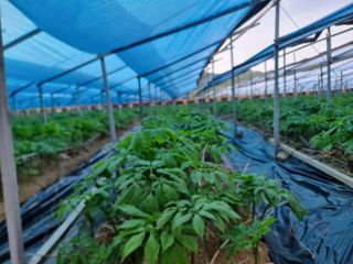 심상진님의 5월 농사계획 공유하기 · 참여글 작성글 사진