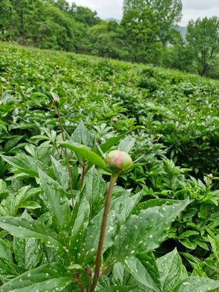 문제민님의 자유주제 · 자유게시판 작성글 사진