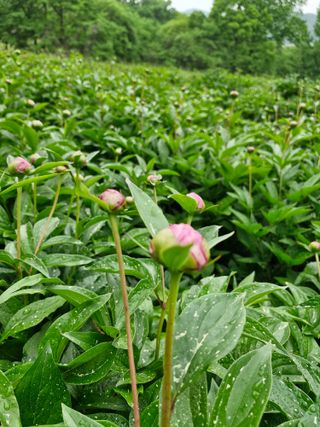 문제민님의 자유주제 · 자유게시판 작성글 사진