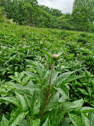 문제민님의 자유주제 · 자유게시판 작성글 사진
