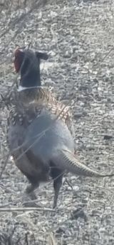 팜모닝 자유주제·자유게시판 게시글 이미지