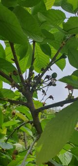 팜모닝 5월 농사계획 공유하기·참여글 게시글 이미지