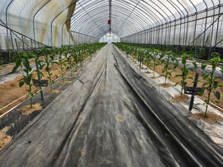 장기수님의 5월 농사계획 공유하기 · 참여글 작성글 사진