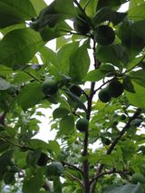 팜모닝 5월 농사계획 공유하기·참여글 게시글 이미지