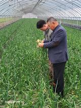 팜모닝 5월 농사계획 공유하기·참여글 게시글 이미지