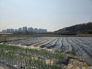 출첵해요.님의 5월 농사계획 공유하기 · 참여글 작성글 사진