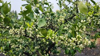 오창열님의 5월 농사계획 공유하기 · 참여글 작성글 사진