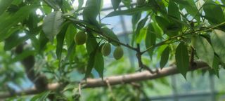 최용한님의 5월 농사계획 공유하기 · 참여글 작성글 사진