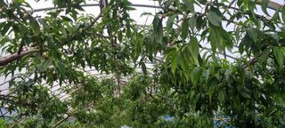 최용한님의 5월 농사계획 공유하기 · 참여글 작성글 사진