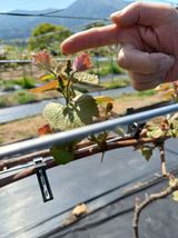 팜모닝 5월 농사계획 공유하기·참여글 게시글 이미지