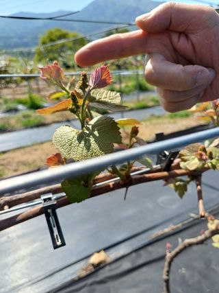 장수 팜 랜드님의 5월 농사계획 공유하기 · 참여글 작성글 사진