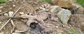 샘골농장 마음만청춘님의 자유주제 · 자유게시판 작성글 사진