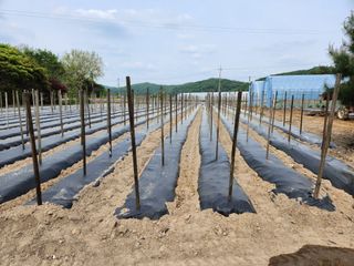 권오대님의 자유주제 · 자유게시판 작성글 사진