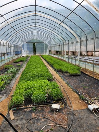 권오대님의 자유주제 · 자유게시판 작성글 사진