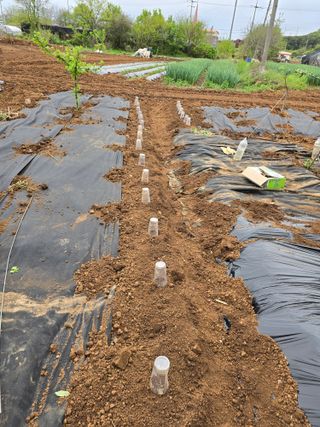 신현철님의 5월 농사계획 공유하기 · 참여글 작성글 사진