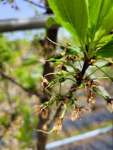 팜모닝 5월 농사계획 공유하기·참여글 게시글 이미지