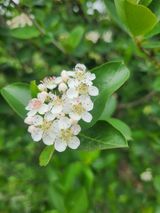 팜모닝 5월 농사계획 공유하기·참여글 게시글 이미지