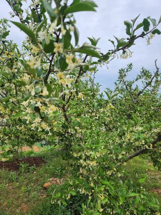 베로니카님의 5월 농사계획 공유하기 · 참여글 작성글 사진