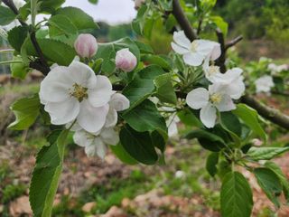 베로니카님의 5월 농사계획 공유하기 · 참여글 작성글 사진
