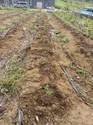 유경규 님의 5월 농사계획 공유하기 · 참여글 작성글 사진