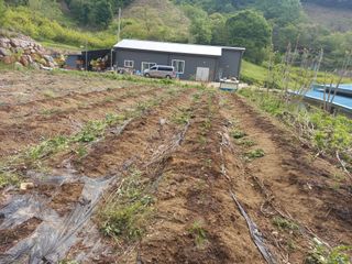 유경규 님의 5월 농사계획 공유하기 · 참여글 작성글 사진