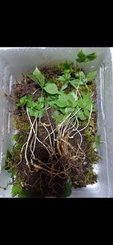 팜모닝 자유주제·자유게시판 게시글 이미지