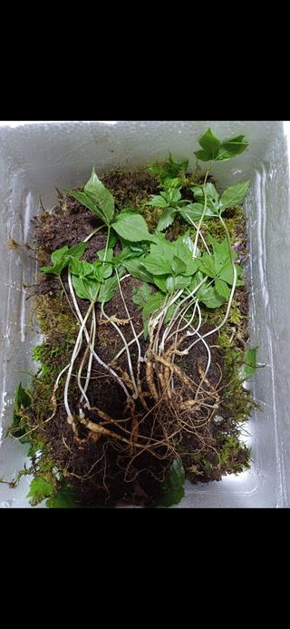 대파14665님의 자유주제 · 자유게시판 작성글 사진