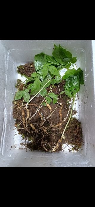 대파14665님의 자유주제 · 자유게시판 작성글 사진