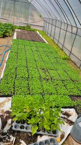 팜모닝 5월 농사계획 공유하기·참여글 게시글 이미지