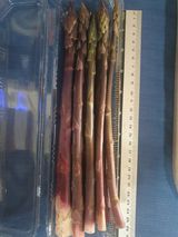 팜모닝 자유주제·자유게시판 게시글 이미지