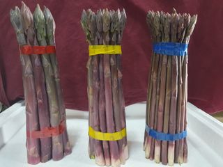 김현정님의 자유주제 · 자유게시판 작성글 사진