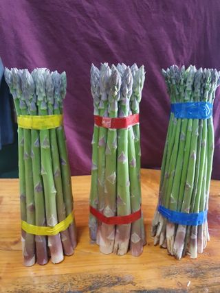 김현정님의 자유주제 · 자유게시판 작성글 사진