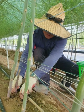 김현정님의 자유주제 · 자유게시판 작성글 사진