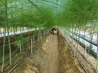 김현정님의 자유주제 · 자유게시판 작성글 사진