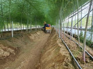 김현정님의 자유주제 · 자유게시판 작성글 사진