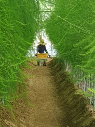 김현정님의 자유주제 · 자유게시판 작성글 사진